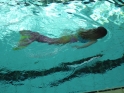 Meerjungfrauenschwimmen-033.jpg